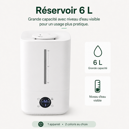 Aervia Large - 6L
